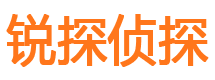 益阳市私家侦探